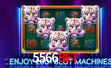 Descubra o Mundo do Cassino Online com 5566bet